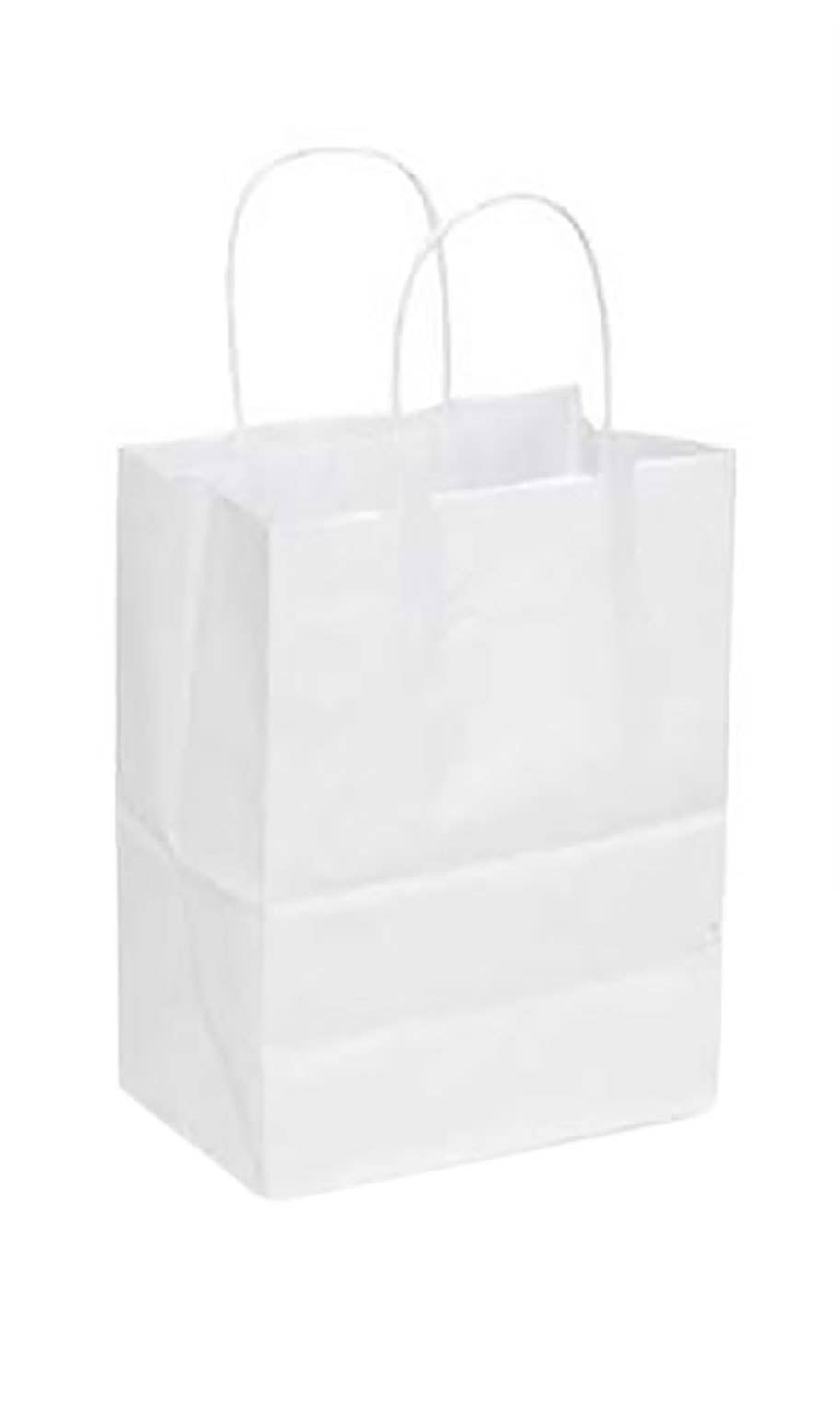 Store Supply Warehouse - Wholesale Gift Bag - Kraft Paper Shopping Bags13