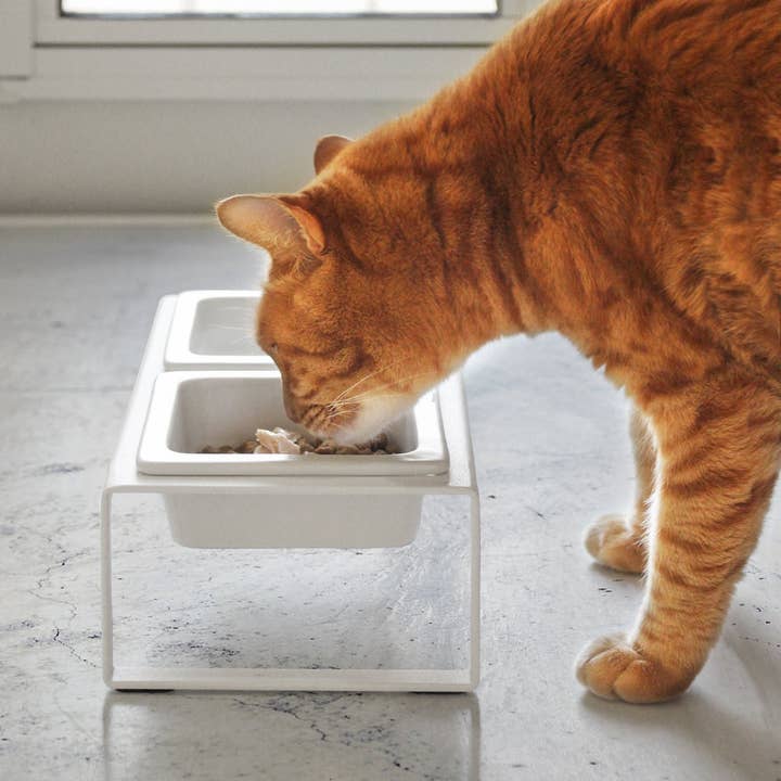 Yamazaki Home - Vente Gamelle – chat et chien - Bol à nourriture pour animaux de compagnie Tower —2