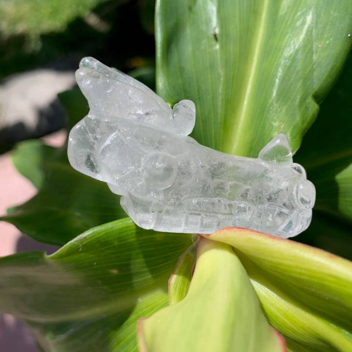 Heldere kwarts kristallen draak voor wholesale door Copper Moon Crystals