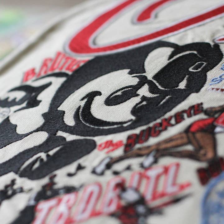 catstudio - Wholesale Throw/Decorative Pillow - Ohio State University Collegiate Embroidered Pillow4