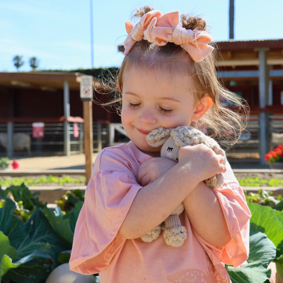 Red & Olive Co. - Wholesale Pop - Kinderen - Lamschaap1