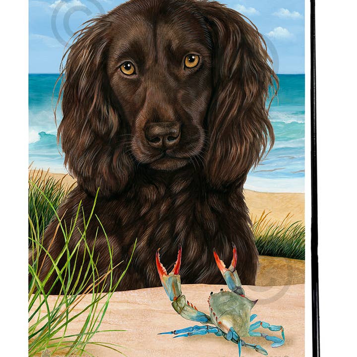 Pet Gifts USA, LLC – wholesale Flagga – Boykin Spaniel Brun Sommar Strand Trädgård Flagga