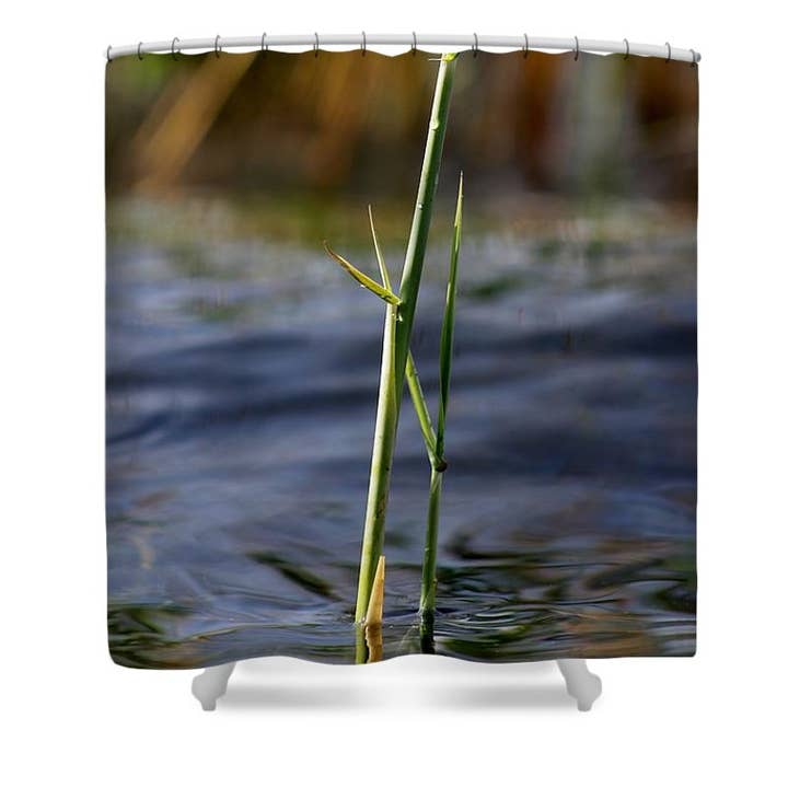 CORTINA DE DUCHA «FABULOSA NATURALEZA ARTÍSTICA» para venta al por mayor de sorayadapuzzostore