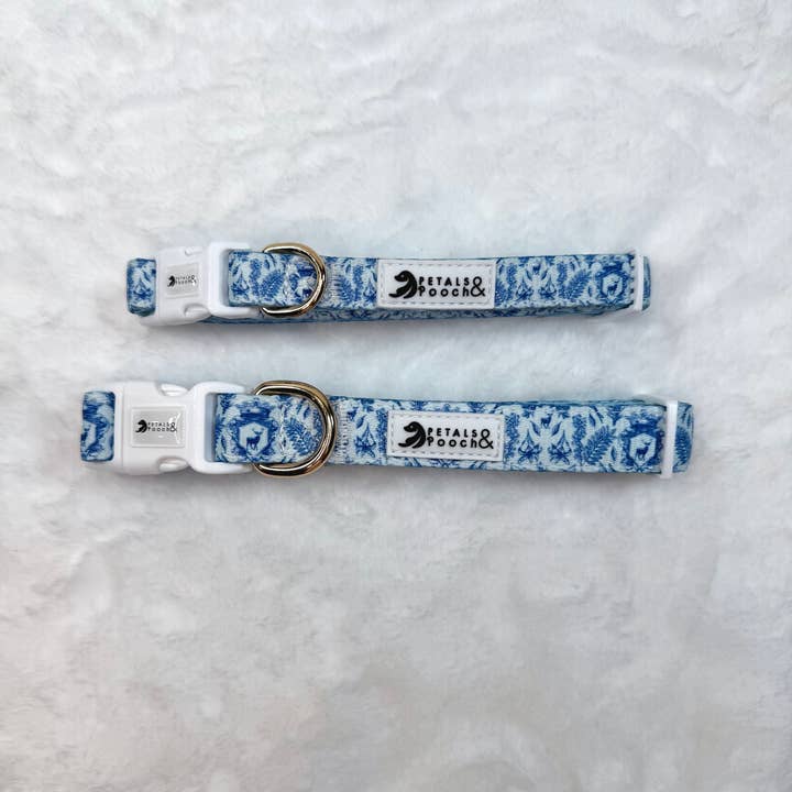 Pupperton Collar for wholesale by Petals & Pooch