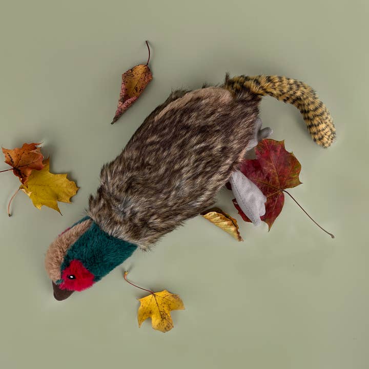 HugglePets - Vente Jouet – chien - Jouet pour chien HugglePets Legacy Faisan (Pete)1