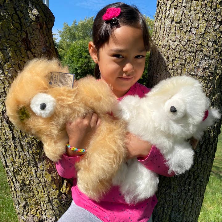 Blossom Inspirations - Wholesale Stuffed/plush toy – Kids & baby - Bears Stuffed Alpaca Toy6
