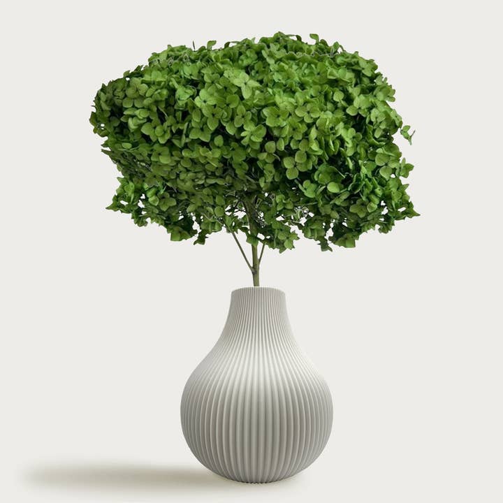 Getrocknete konservierte Hortensienblume 16" mit Stiel und andere Ergebnisse für getrocknete blumen im Großhandel. Kostenlose Rücksendungen und 60-Tage-Zahlungsziel auf Faire im Trend auf Faire.