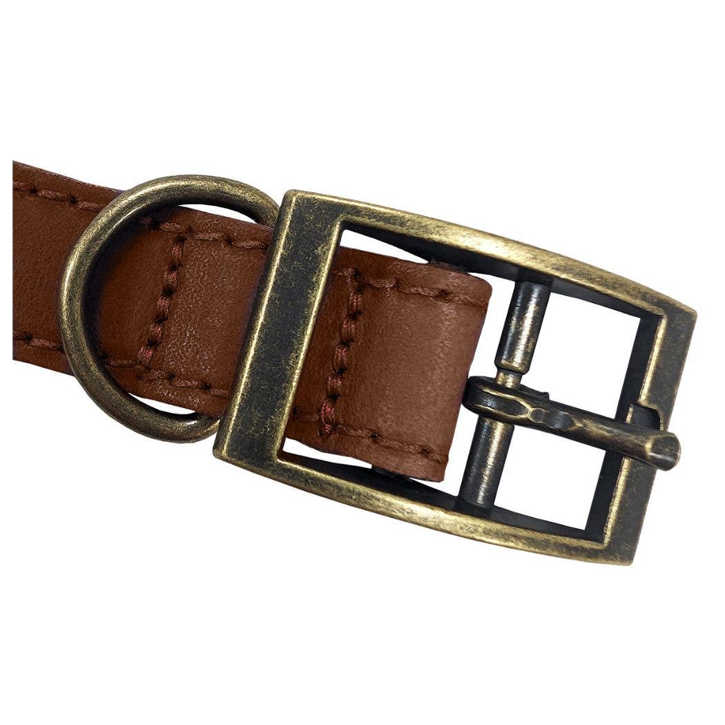 HugglePets – wholesale Pet collar – Dog – HugglePets Legacy Leather Dog Collar24