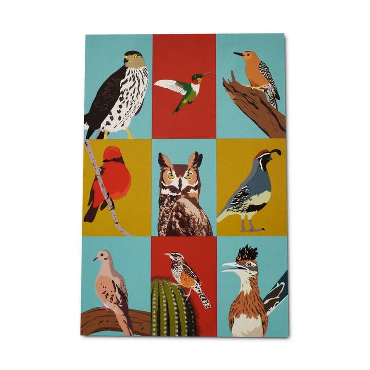 Pássaros de Postais do Sudoeste por atacado de RetroTrek, DBA Sunny Days Gifts