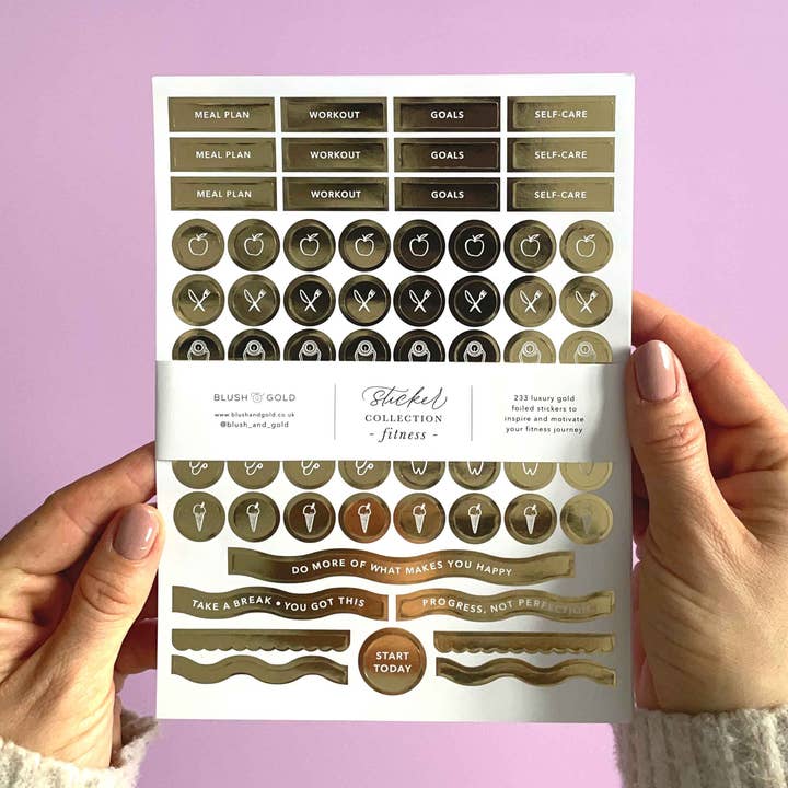 Pack Fitness Sticker (3 folhas) por atacado de Blush And Gold