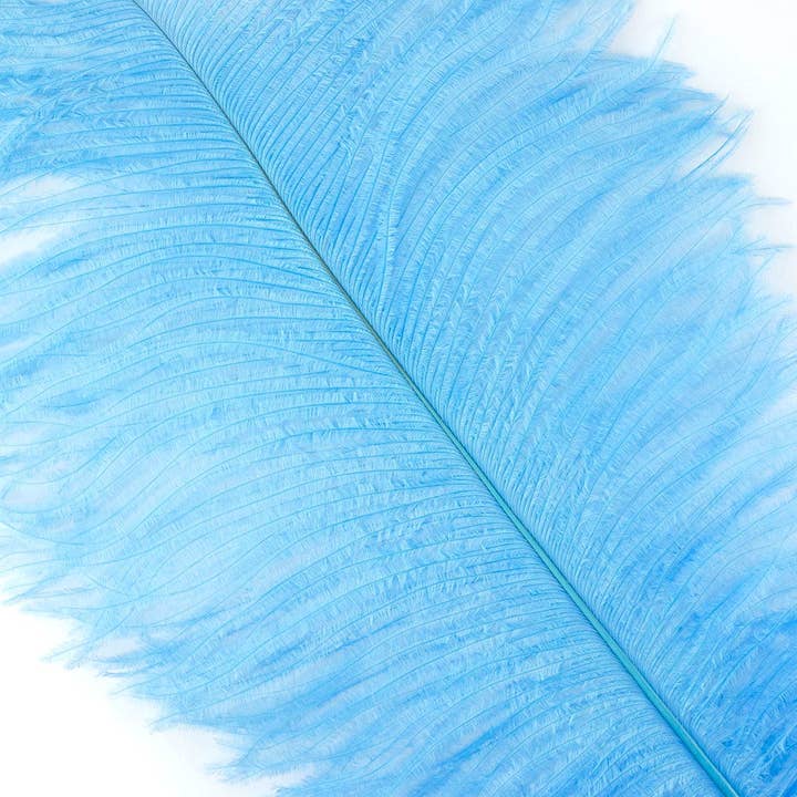Grandi Piume di Struzzo - 17"+ Drappi - Cielo per la vendita all'ingrosso da parte di Zucker Feather Products