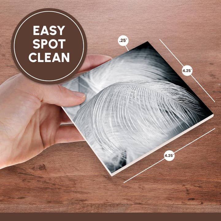 3dRose - Wholesale Coasters - 3dRose, Ostrich feathers in black and white, Coaster6