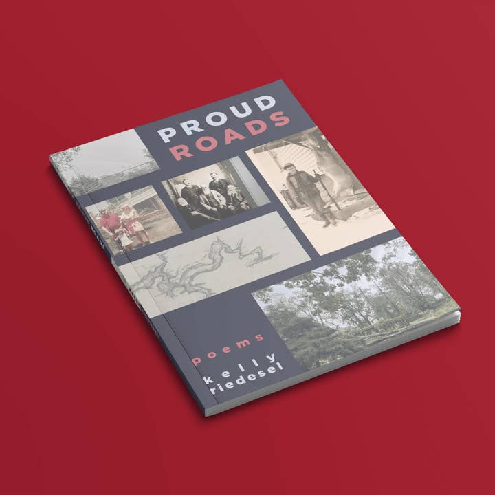 Proud Roads: Poems in the Aftermath of Hurricane Helene for wholesale by Loblolly Press