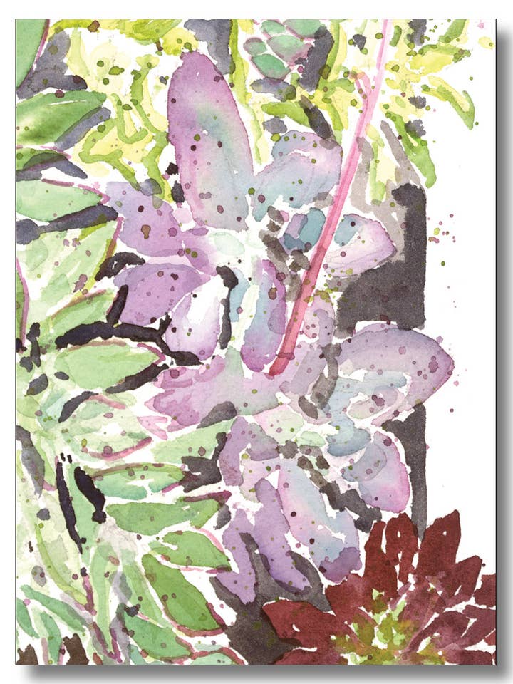 Suckulenter för wholesale av WORDS & WATERCOLORS BY PEG CONLEY