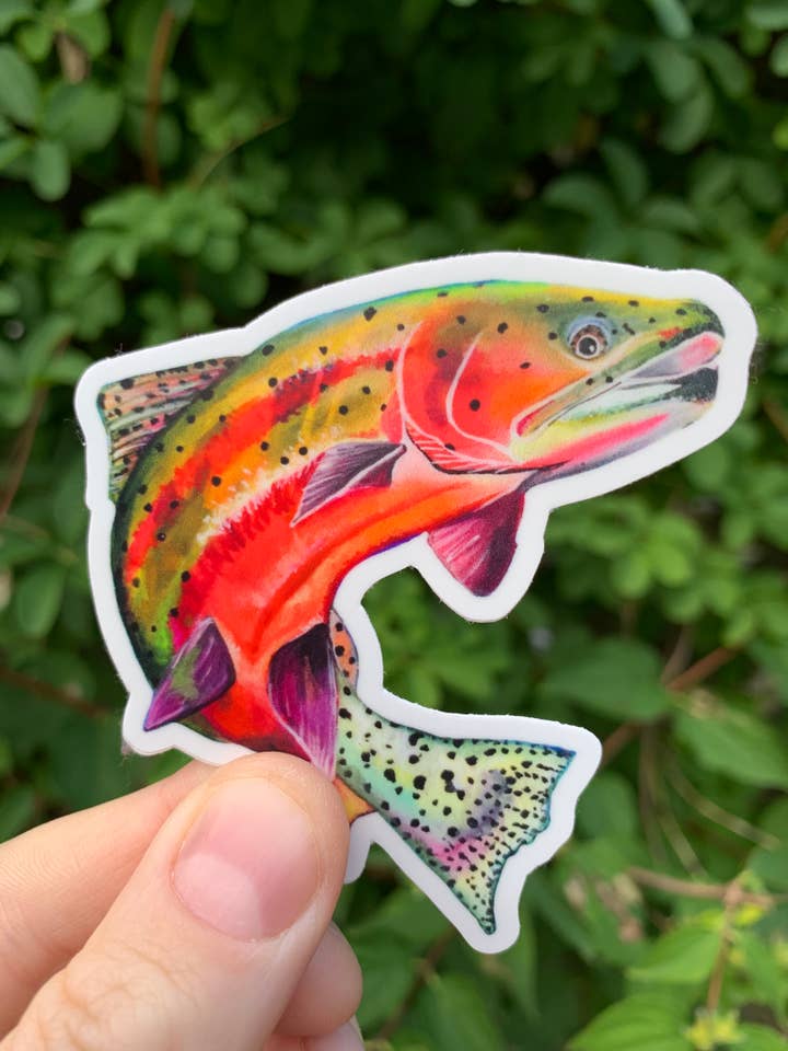 Rainbow Trout Sticker for wholesale by Willough Designs