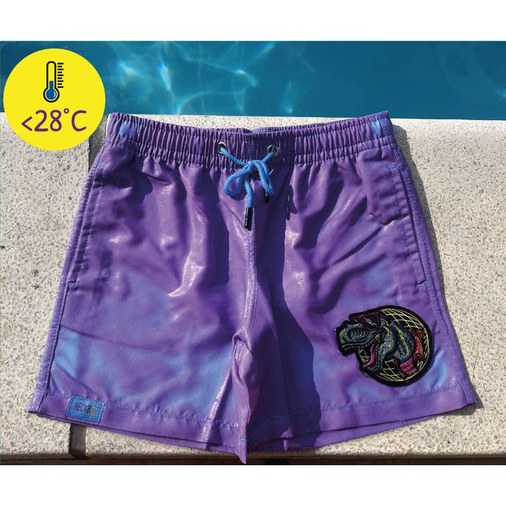 HECKBO – Calções de banho - Criança por atacado – Sunga Mágica de Mudança de Cor para Meninos HECKBO - Dinossauro4