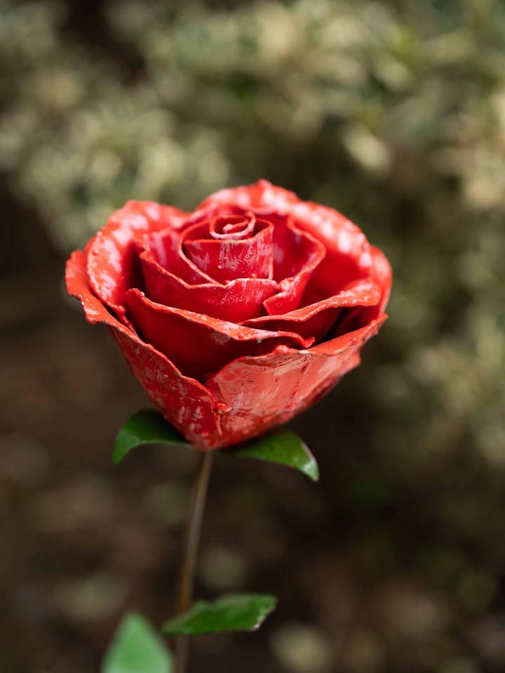 Recycled Metal Garden Artwork - Open Red Rose for wholesale by chi-africa