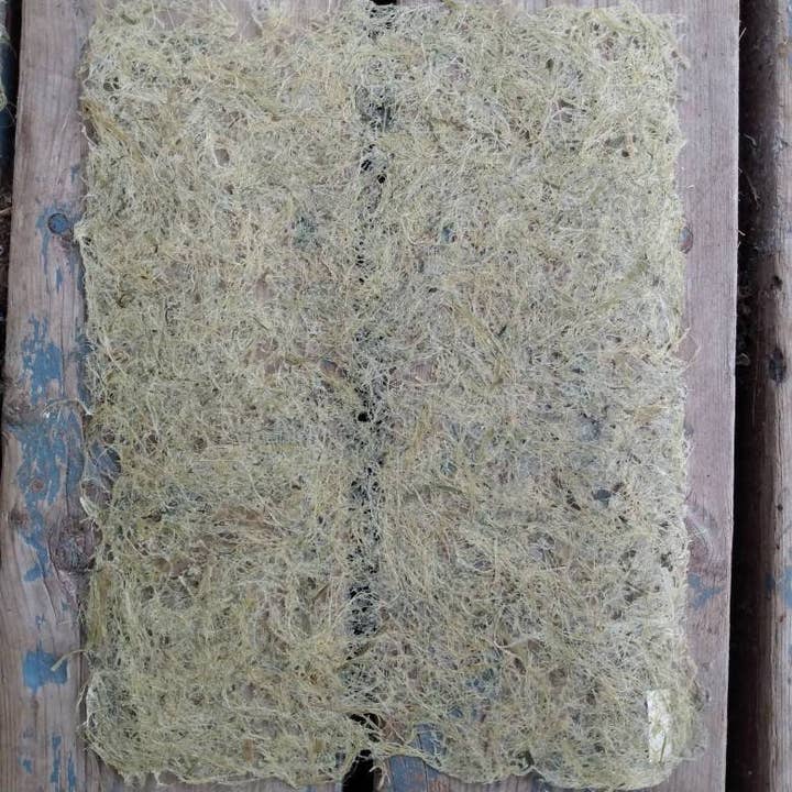 Joanne Rich - Wholesale Craft Supplies - Handmade Corn Husk Artist Paper6