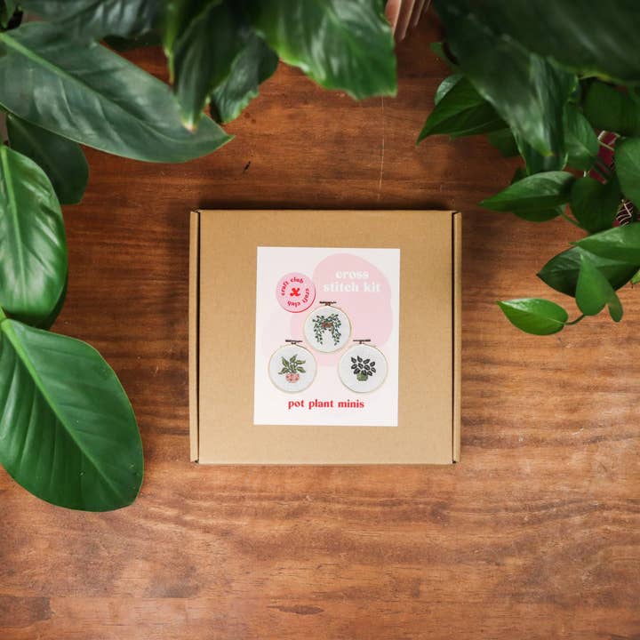 Craft Club - Wholesale Embroidery/cross-stitch supplies - POT PLANT MINIS - Cross Stitch Kit3