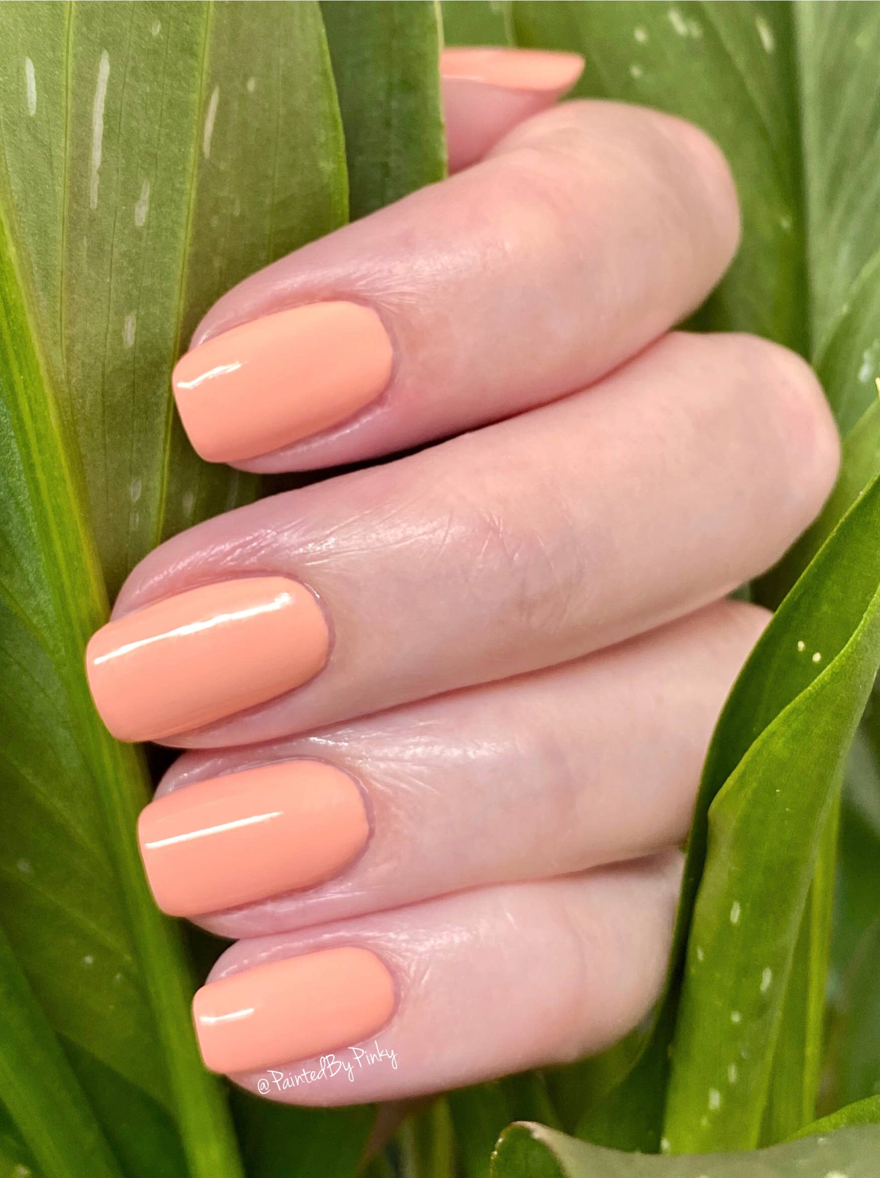 Earthy Nail Polish – wholesale Nagellack – Flamingo Rosa2