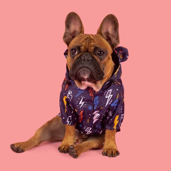 Big and Little Dogs - Wholesale Pet Raincoat - Dog - DOG RAINCOAT: Lightning Storm9