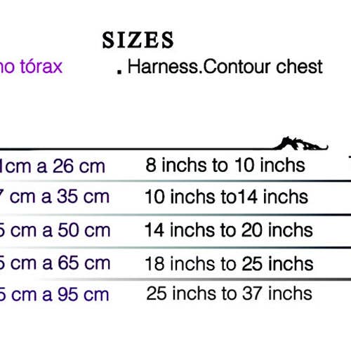 Izala Dog - Wholesale Pet Harness - Dog - Dog Harness - Ribbon Model “Marineros de Mar”2