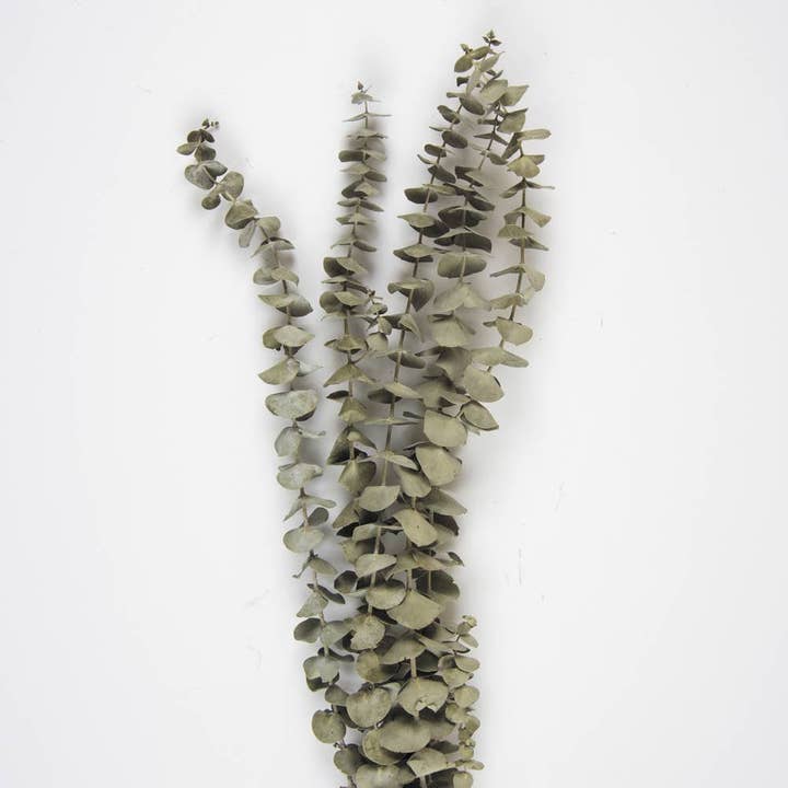 Tim&Puce Factory - Wholesale Artificial Plant - SET OF 5 EUCALYPTUS BRANCHES