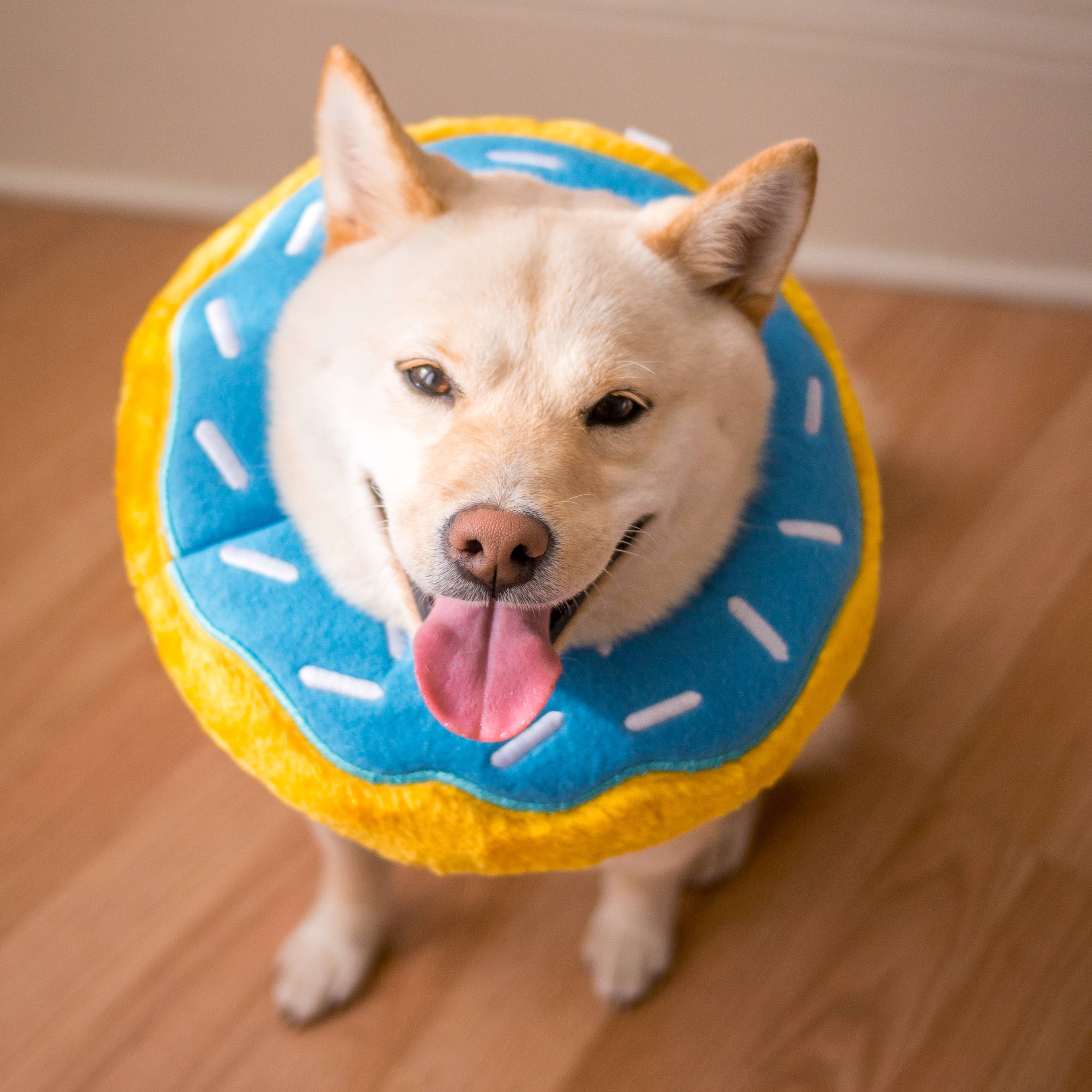 Pet Palette Distribution - Wholesale Pet Chew Toy - Dog - ZippyPaws Jumbo Donutz Blueberry6