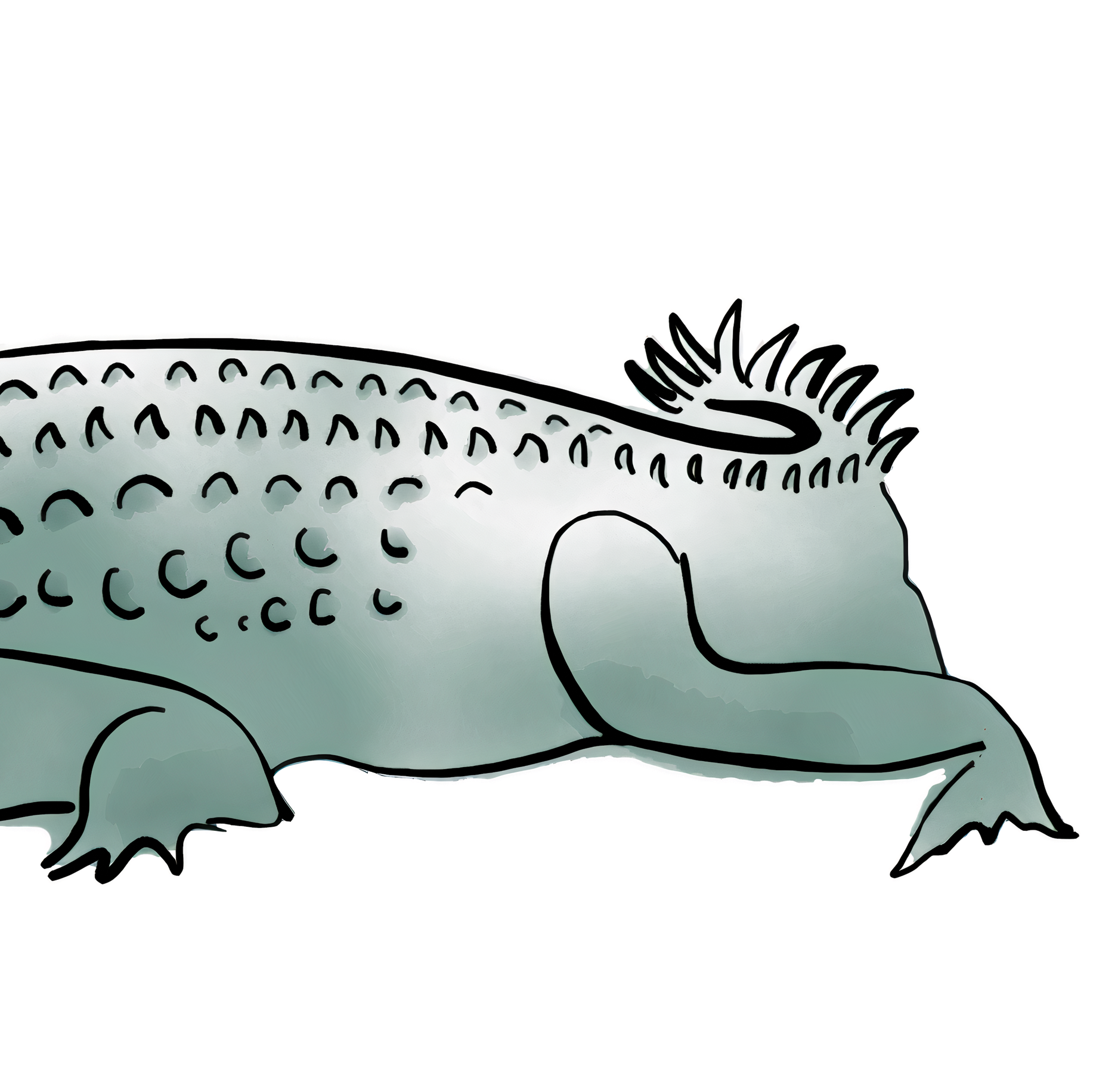 Wild Cherry Prints – Impressão artística por atacado – Impressão Snap Snap2