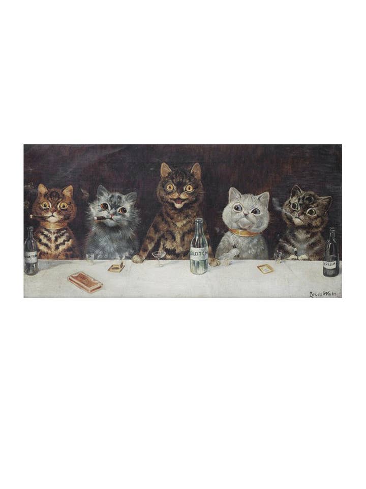Tabbisocks - Wholesale Tights - Women's - BACHELOR PARTY BY LOUIS WAIN CAT KITTY Printed Art Tights