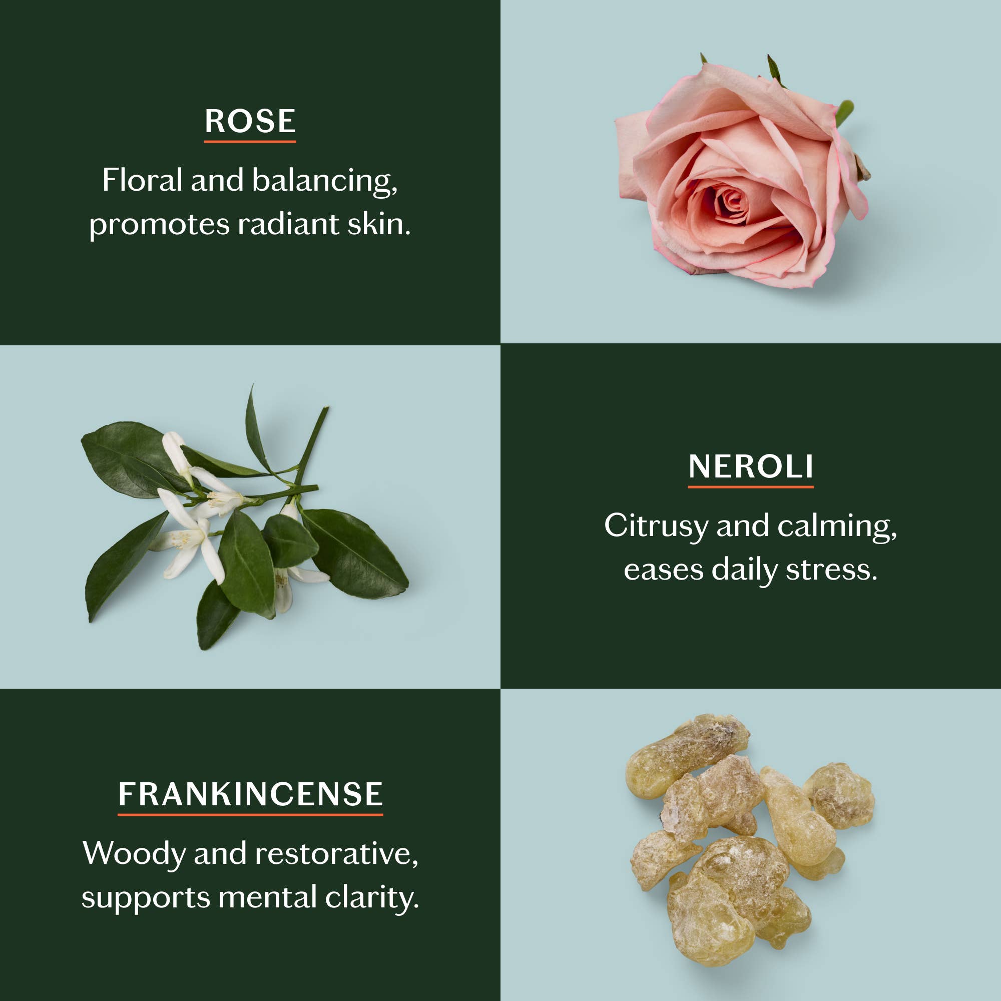 Kate McLeod - Wholesale Solid Lotion - Daily Stone | Deep Moisturizing Lotion Bar5