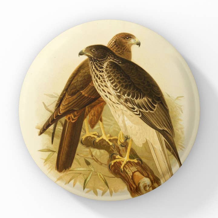 NatureCuts – Großhandel Anstecker/Button – Falken-Pin, Falken-Schlüsselanhänger, Falken-Magnet0