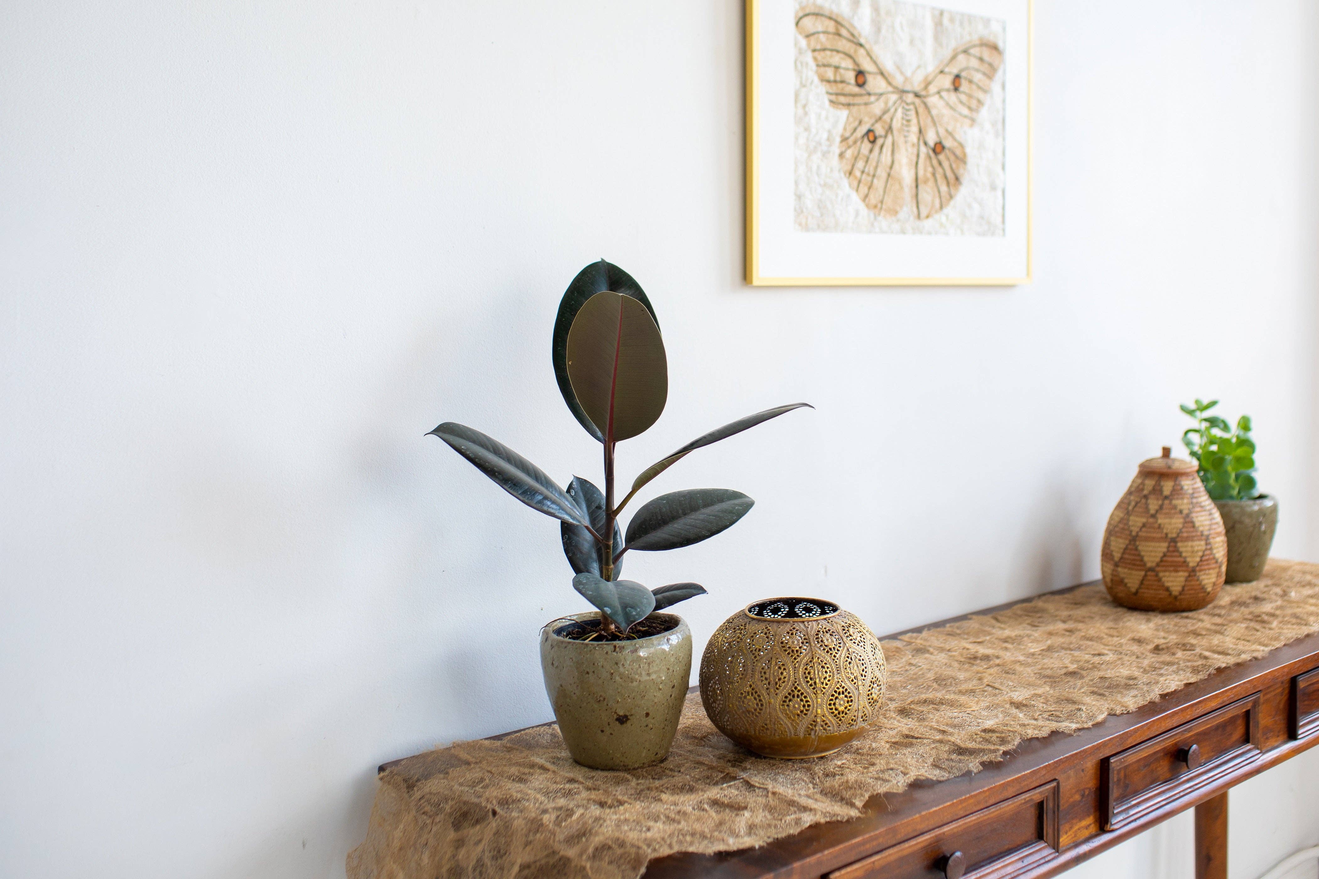 Tanana Madagascar - Vendita all'ingrosso Runner - Runner da tavola Wild Silk - Ceranchia Open1