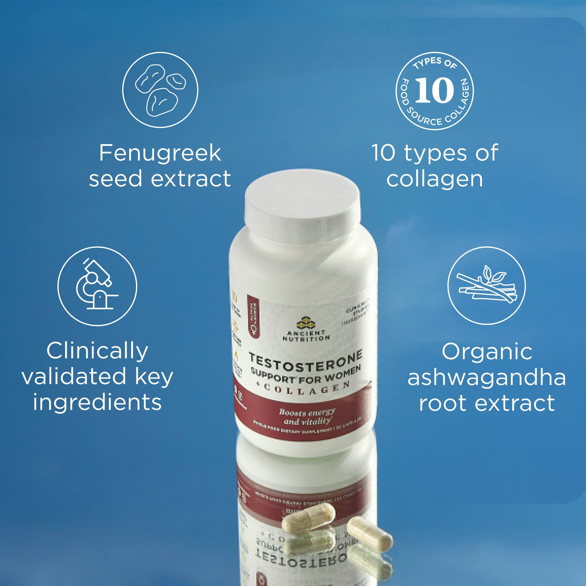 Ancient Nutrition - Wholesale Oral Supplement/Vitamin - Testosterone Support for Women + Collagen | Capsules (30 Servings)3