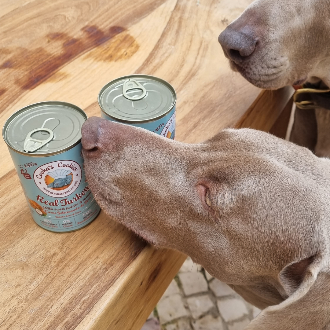 Belpharmed bv: Cooka's Cookies & Sensidog - Wholesale Pet Treats - Dog - Real Turkey - Natural Humid Dog Food2