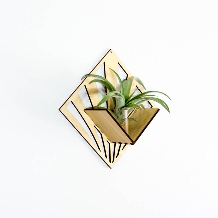 LIGHT RAZOR DESIGN STUDIO - Wholesale Wall planter - Air Plant Holder / Quadrate Wall Hanging Planter 2108