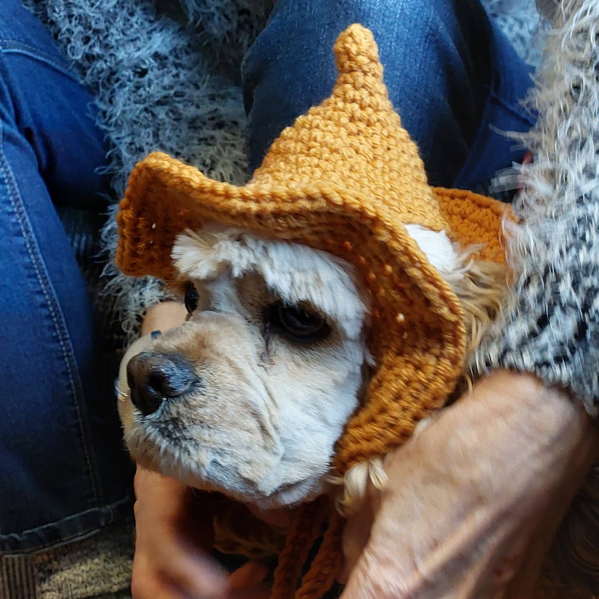 Glitter Ghost Clothing and Accessories – chapéu - Cão por atacado – Chapéu Crochet Brilha - Chapéu de Gato - Chapéu de Pet7