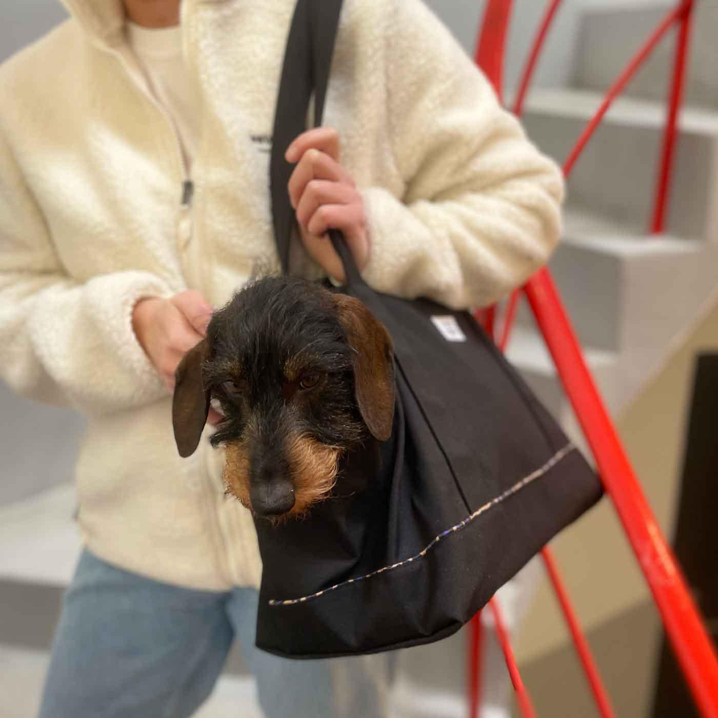 woof & wiggle - Wholesale Pet Carrier - Dog - Oh La La Leo dog bag1