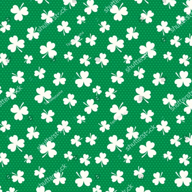 Shammy in Biker-Slip Shorts 6" pour la vente par Fabulegs