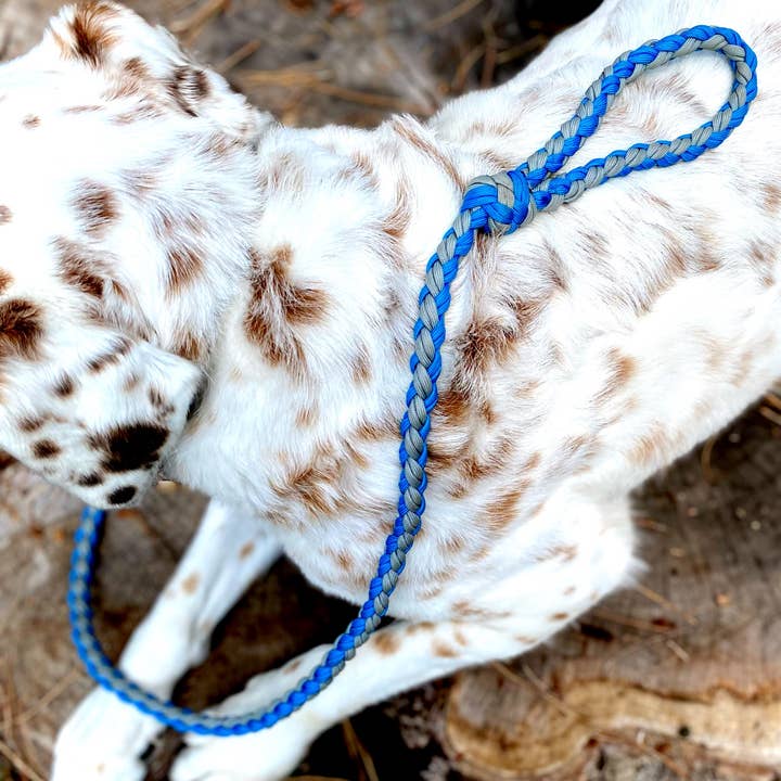 REMOVED BRAND – trela - Cão por atacado – 4 'Paracord Leash - azul/cinza2