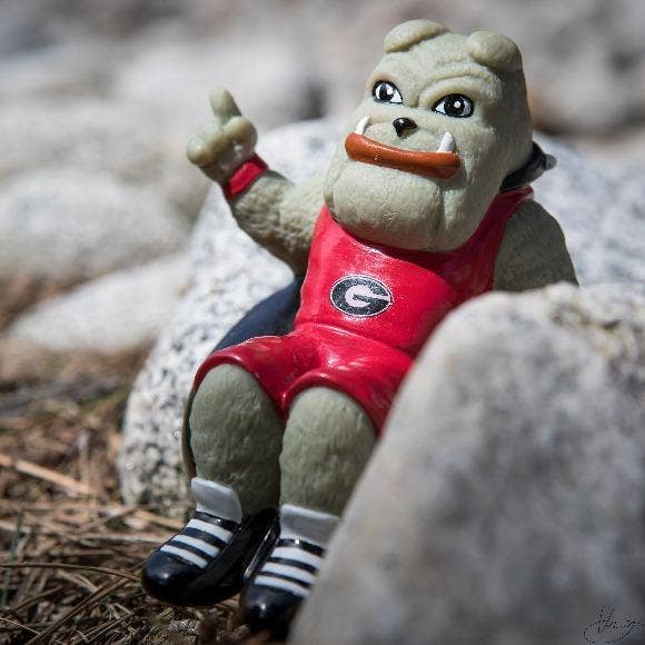 Rubber Tubbers - Wholesale Bath Toy - Baby - University of Georgia - Bulldogs - Hairy Dawg - Premium Bath6