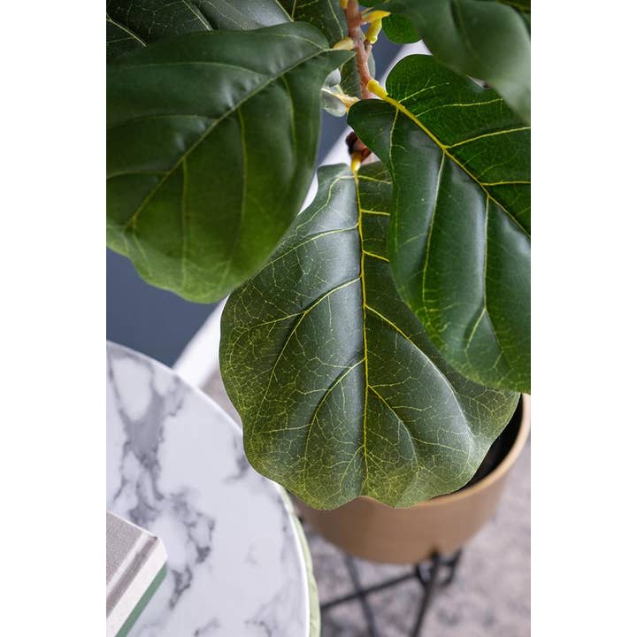 A&B Home Group Inc. - Wholesale Artificial Plant - 12x12x43"H Potted Fiddle Leaf Tree4