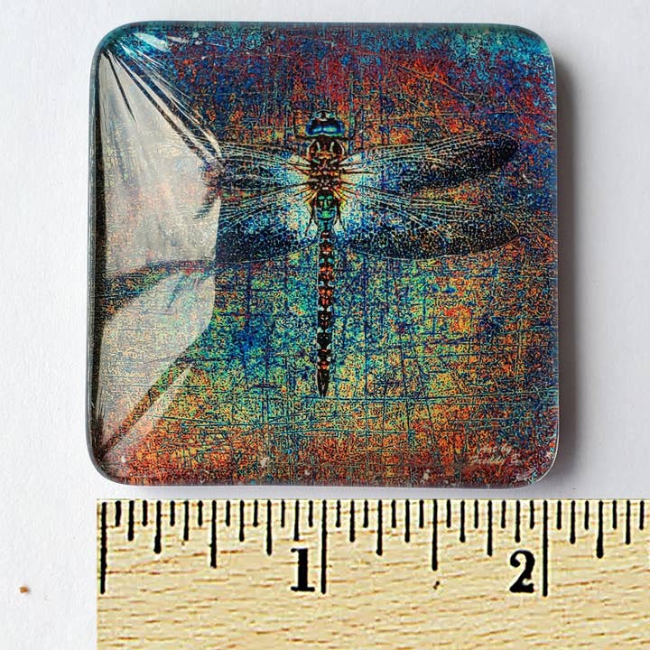Art by Freddy B. - Wholesale Magnet - Set of 6 Acrylic Glass Magnets, The Dragonfly Collection5