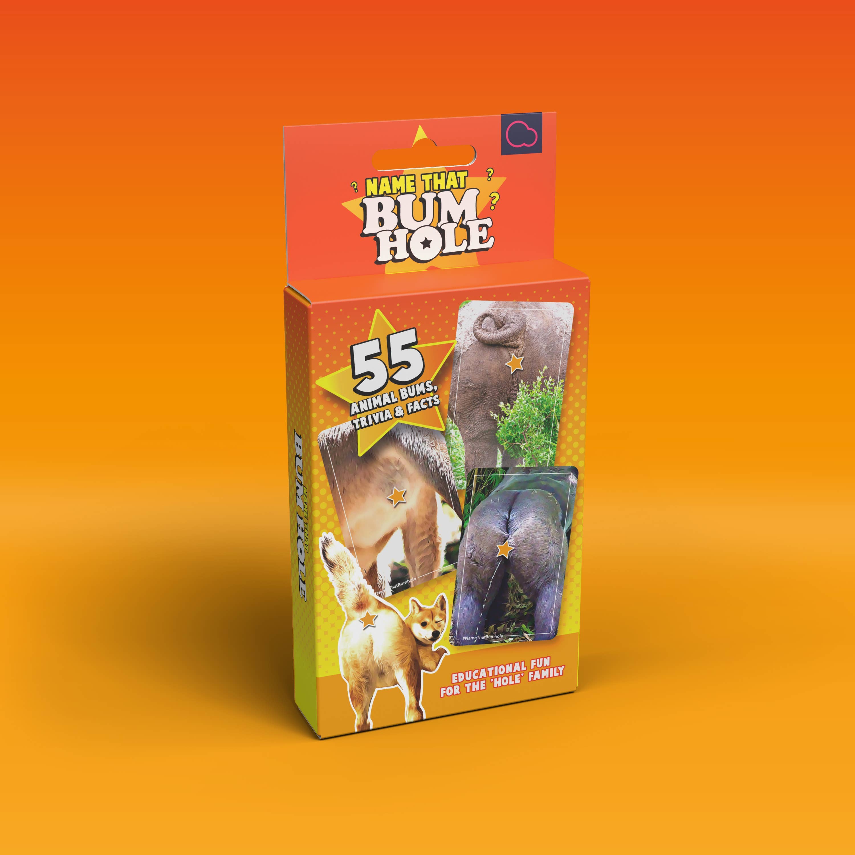 Bubblegum Stuff UK – Großhandel Kartenspiele – Name That Bumhole | Lustiges Familien-Flashcard-Trivia-Spiel5