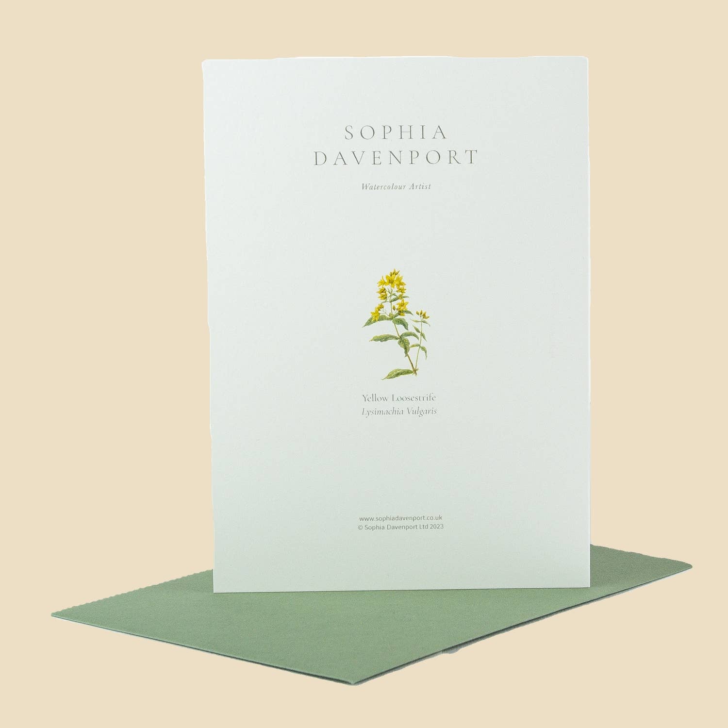 Sophia Davenport - Wholesale Everyday Greeting Card - Wildflower Greeting Cards and Notelets35