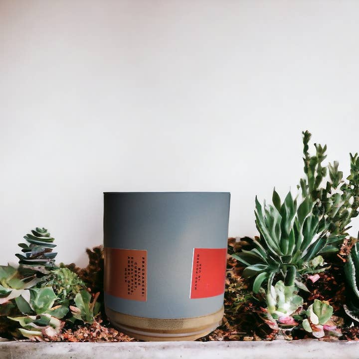 iluxir - Wholesale Jar/Filled Candle - Lorelai to my Rory5