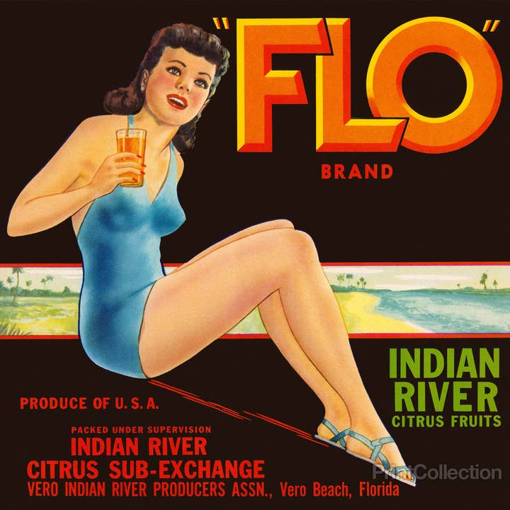 Print Collection - Wholesale Art Print - "FLO" Brand Citrus