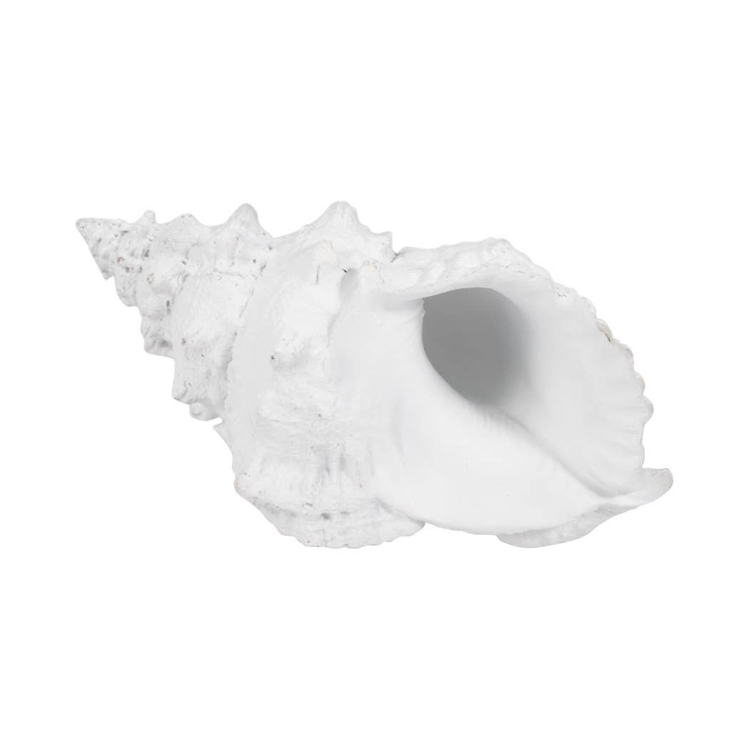 Sagebrook Home - Wholesale Decorative Figurine - Figurine - White Resin Coastal Solid Conch Shell, 10 in.11