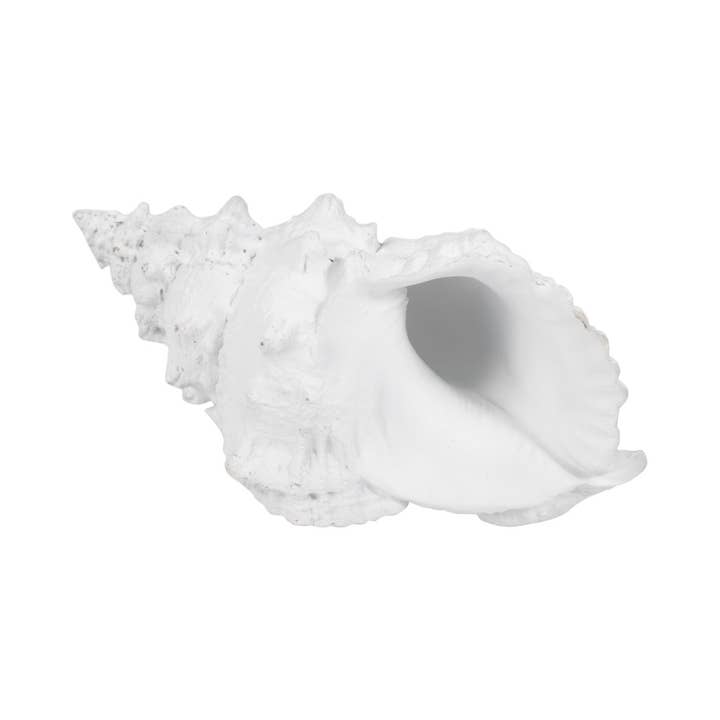 Sagebrook Home - Wholesale Decorative Figurine - Figurine - White Resin Coastal Solid Conch Shell, 10 in.11