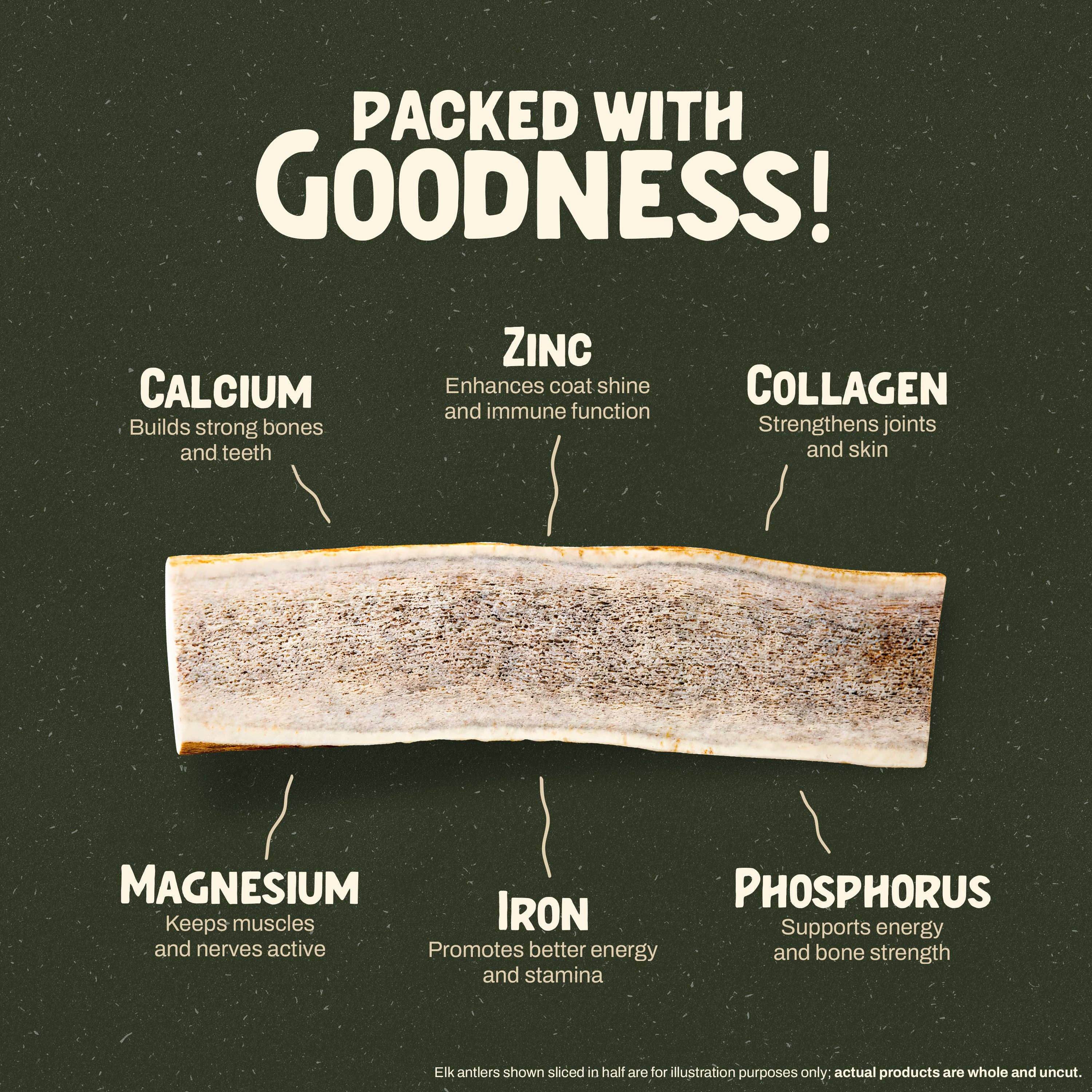 Heartland Antlers - Wholesale Pet Chew Toy - Dog - Whole Elk Antler Chew - Giant (85+ lbs)4